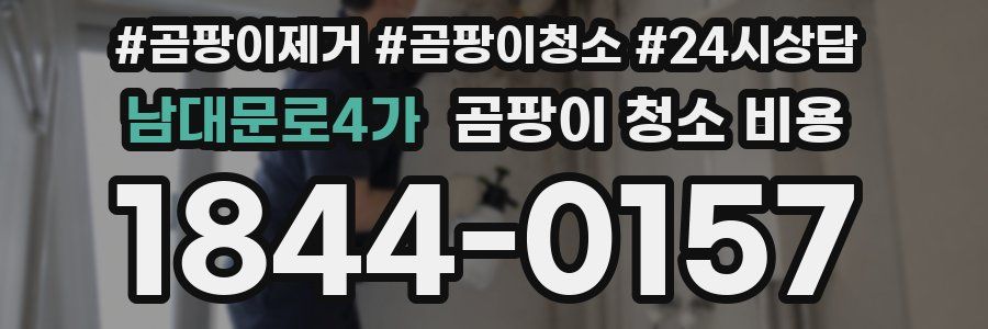 남대문로4가 곰팡이 청소 비용