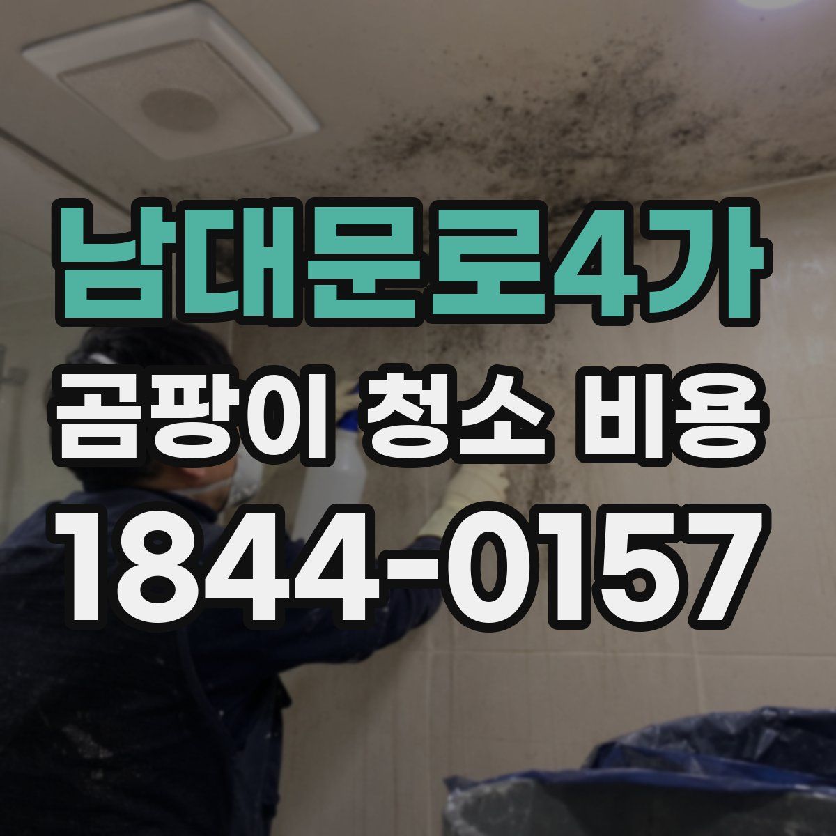남대문로4가 곰팡이 청소 비용