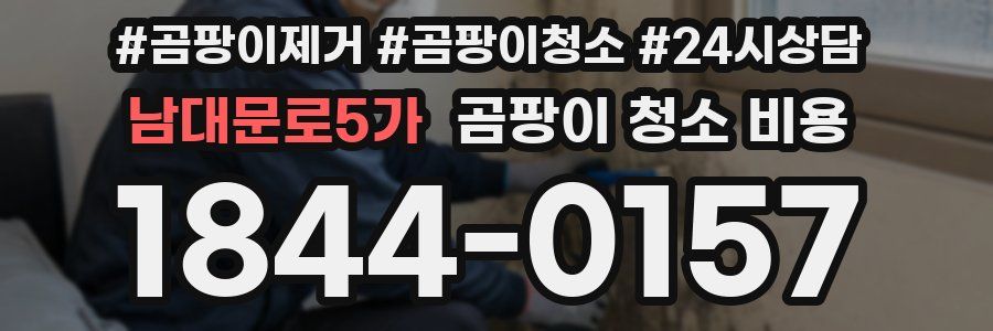 남대문로5가 곰팡이 청소 비용