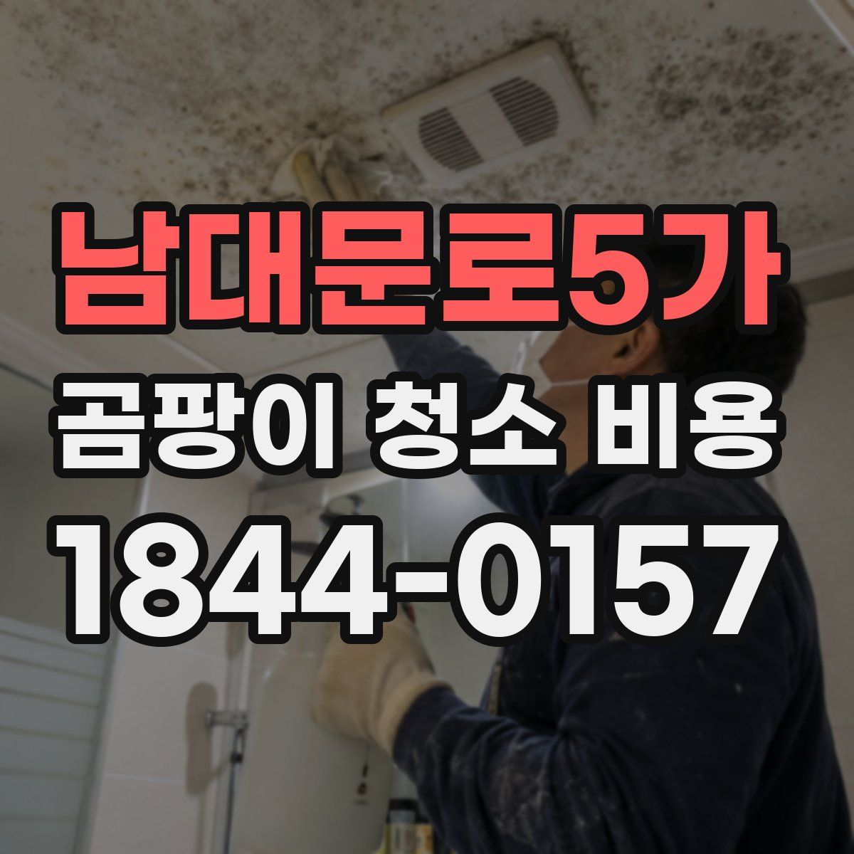 남대문로5가 곰팡이 청소 비용