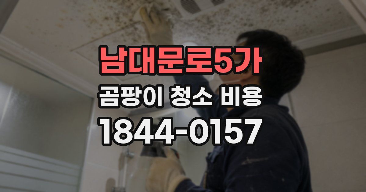 남대문로5가 곰팡이 청소 비용