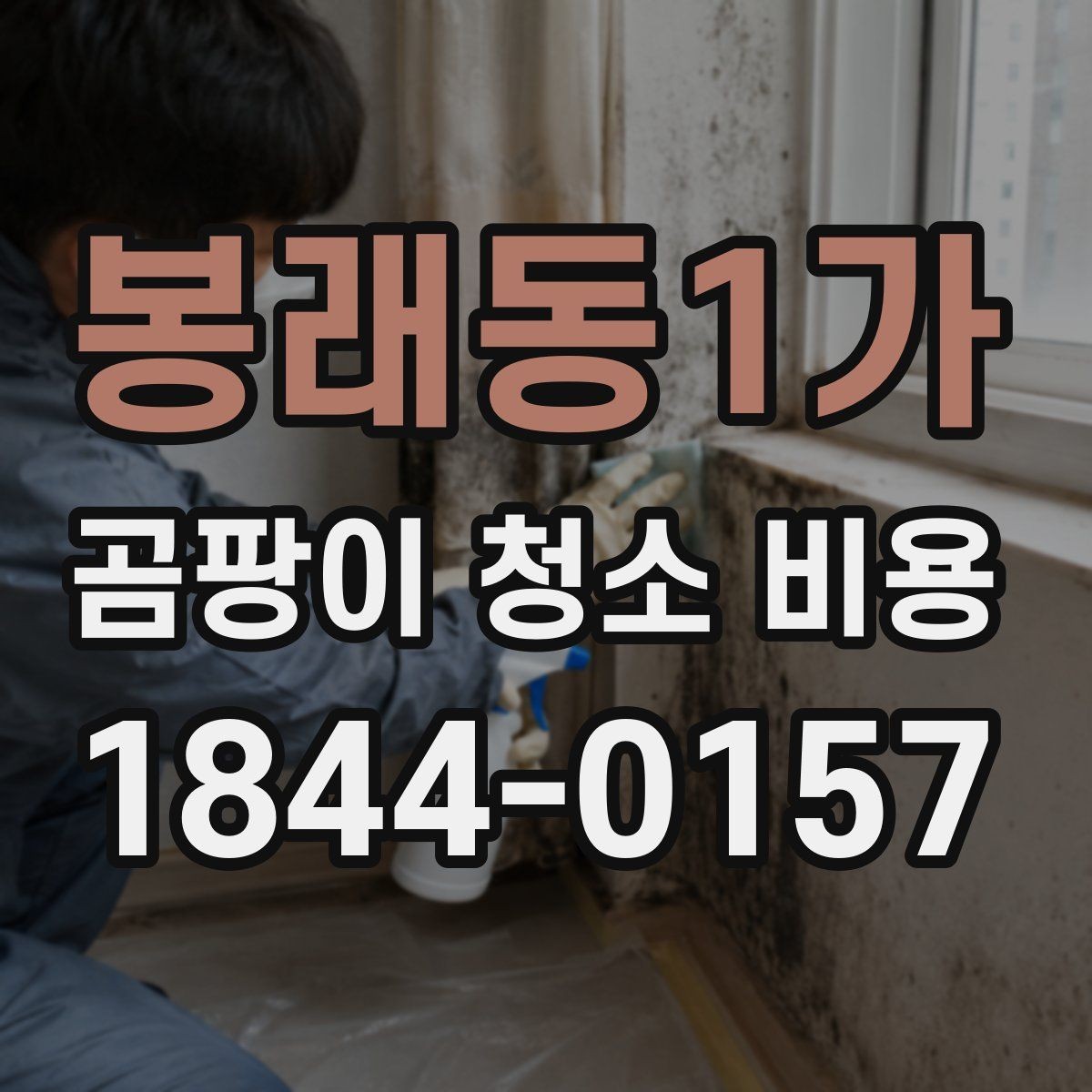 봉래동1가 곰팡이 청소 비용 입주 일정 앞두고 소요 시간 따져보기
