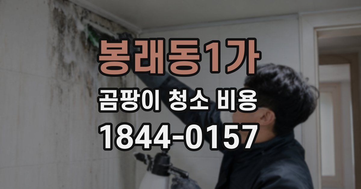 봉래동1가 곰팡이 청소 비용