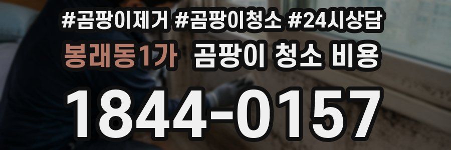 봉래동1가 곰팡이 청소 비용