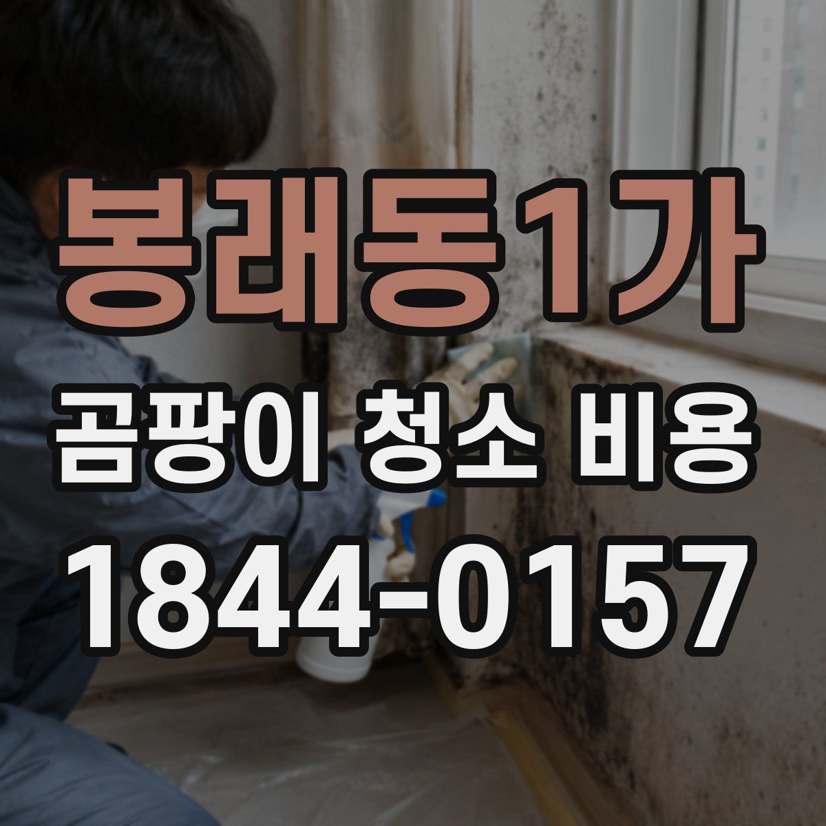 봉래동1가 곰팡이 청소 비용