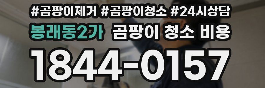 봉래동2가 곰팡이 청소 비용