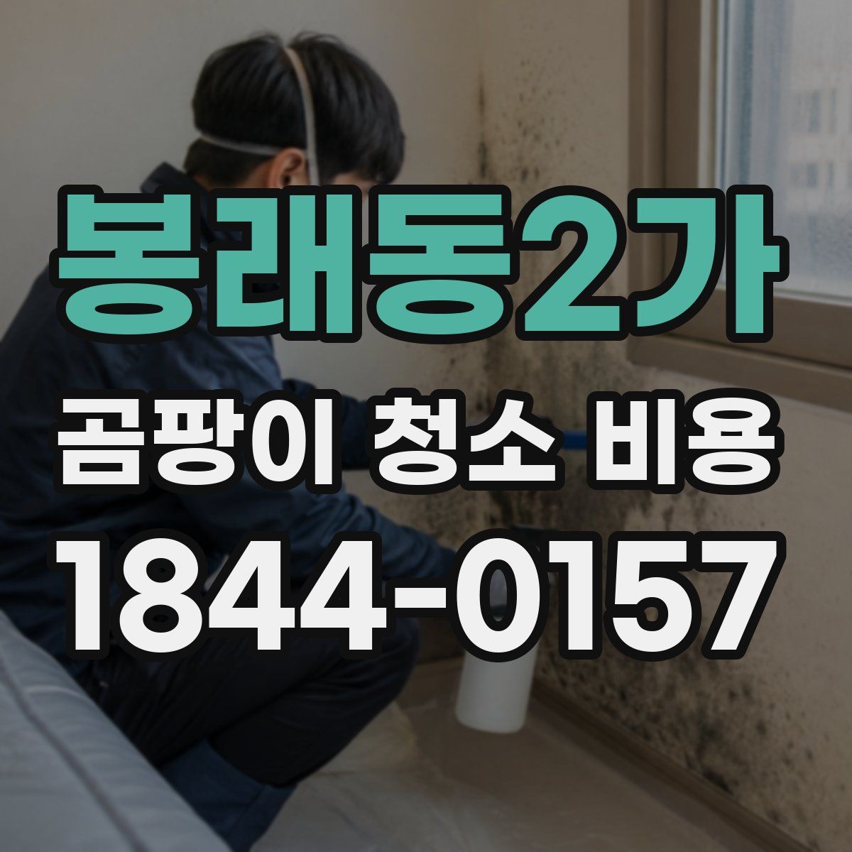 봉래동2가 곰팡이 청소 비용