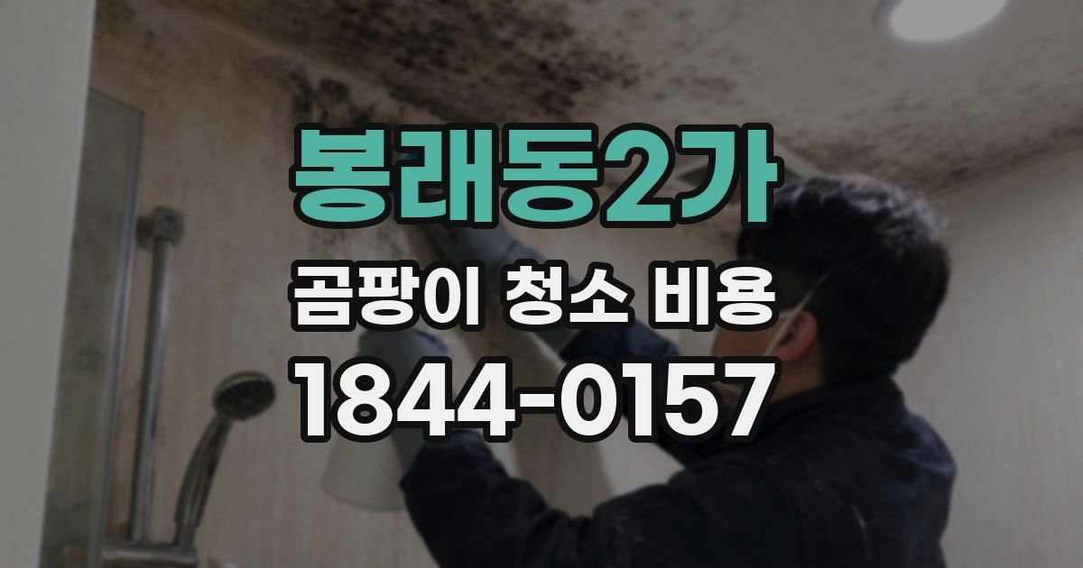 봉래동2가 곰팡이 청소 비용