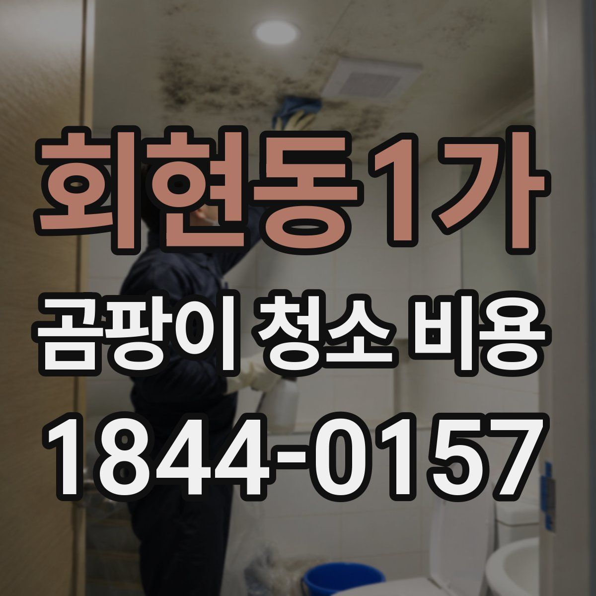 회현동1가 곰팡이 청소 비용