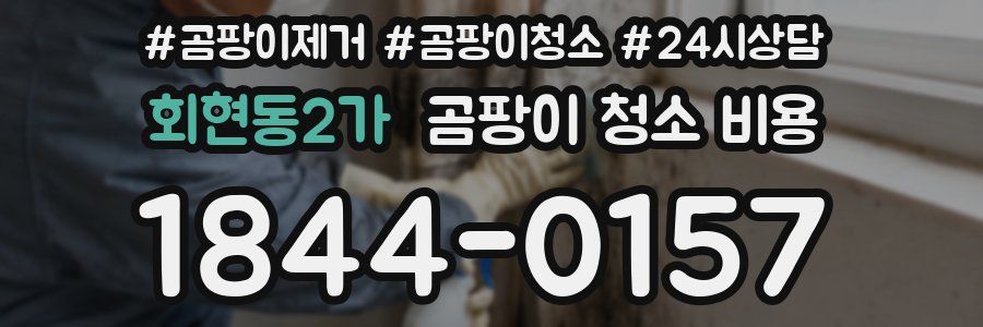 회현동2가 곰팡이 청소 비용
