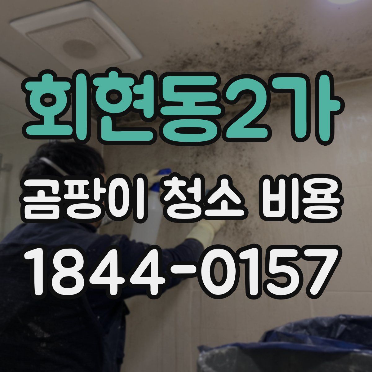 회현동2가 곰팡이 청소 비용