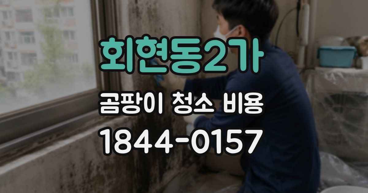 회현동2가 곰팡이 청소 비용