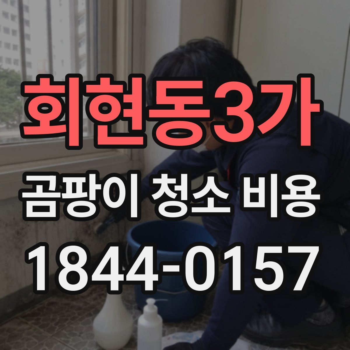 회현동3가 곰팡이 청소 비용