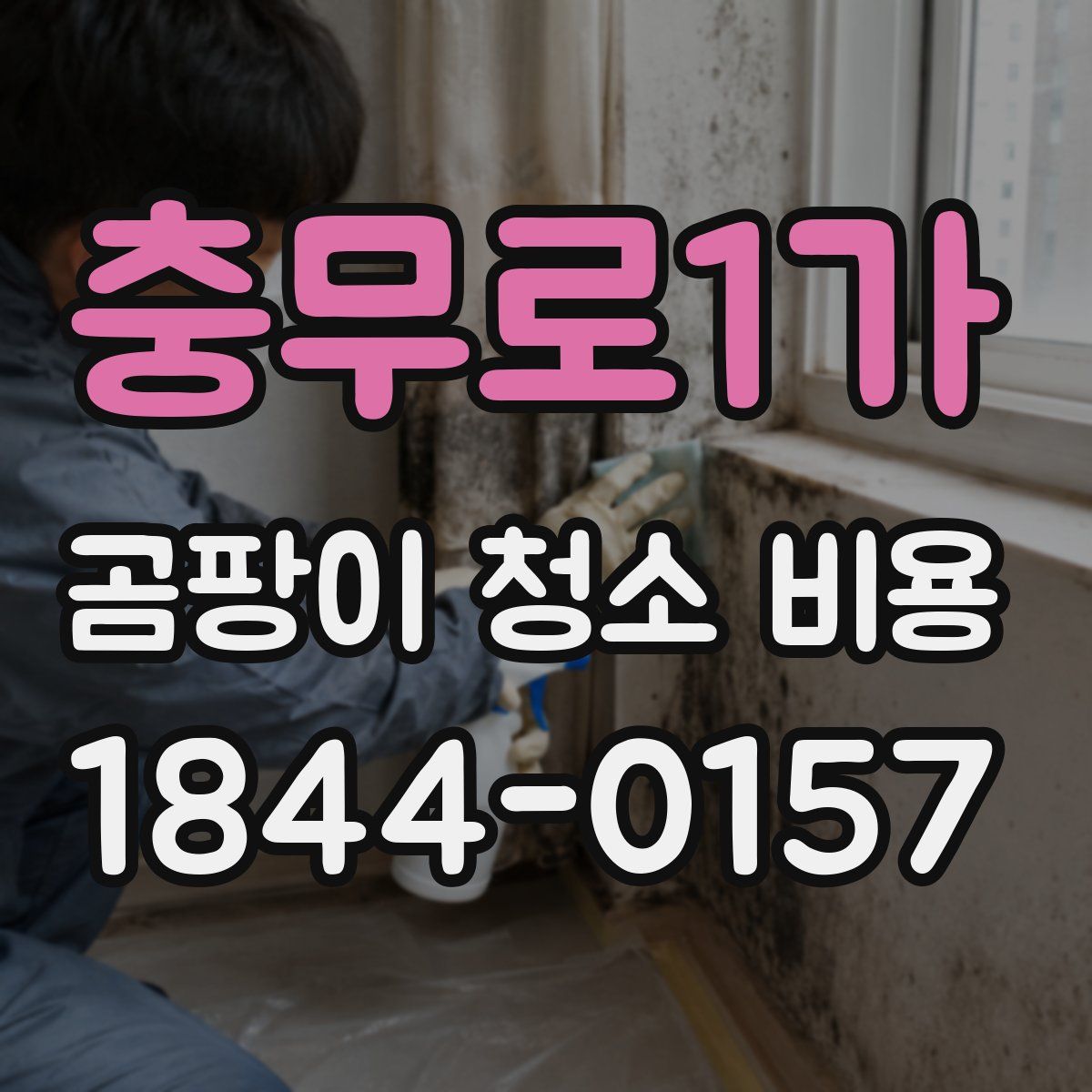 충무로1가 곰팡이 청소 비용