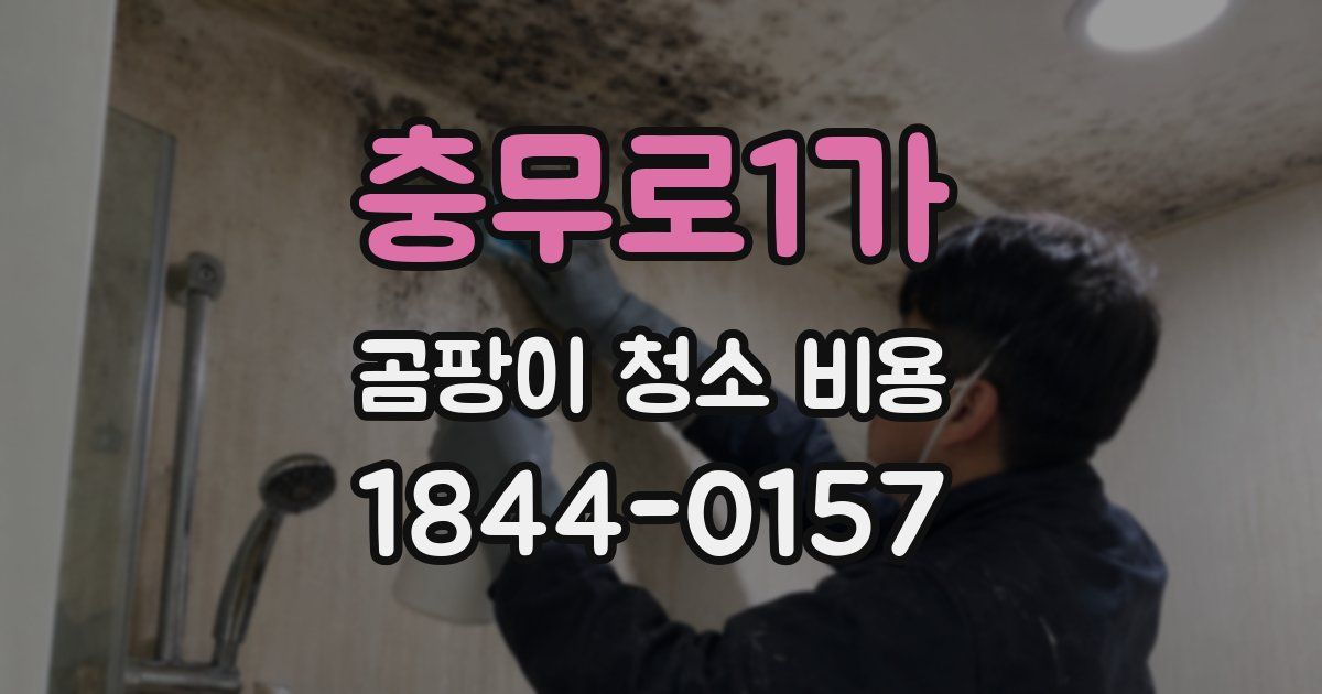 충무로1가 곰팡이 청소 비용