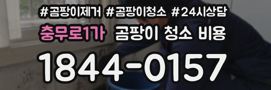 충무로1가 곰팡이 청소 비용