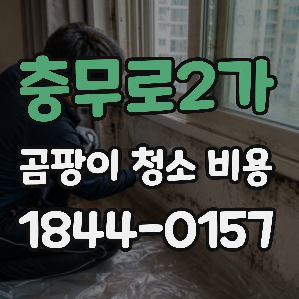 충무로2가 곰팡이 청소 비용 부분 작업과 전체 작업의 기준 살펴보기