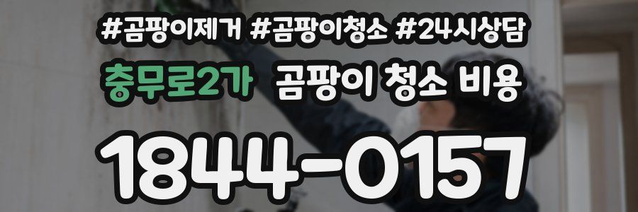 충무로2가 곰팡이 청소 비용