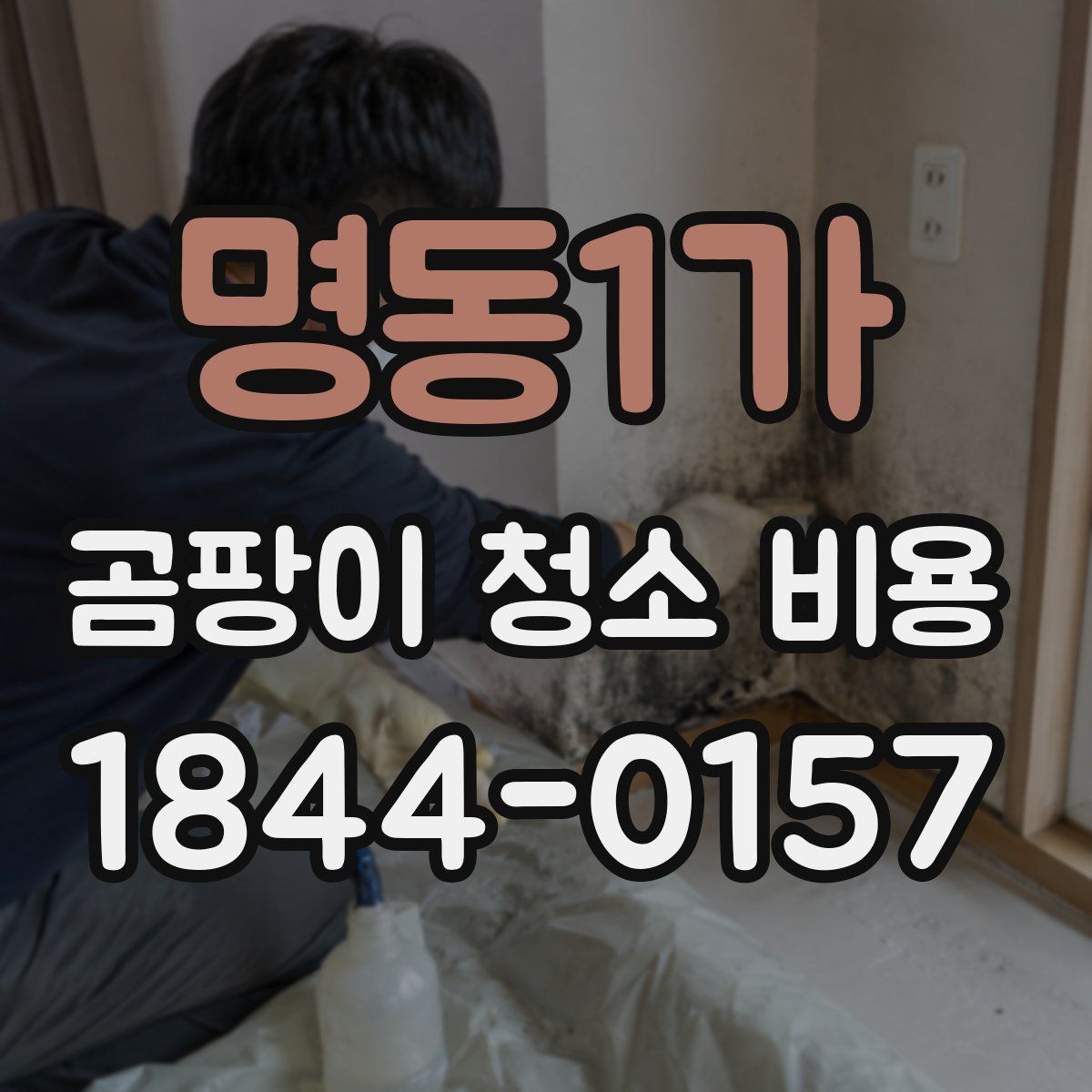 명동1가 곰팡이 청소 비용