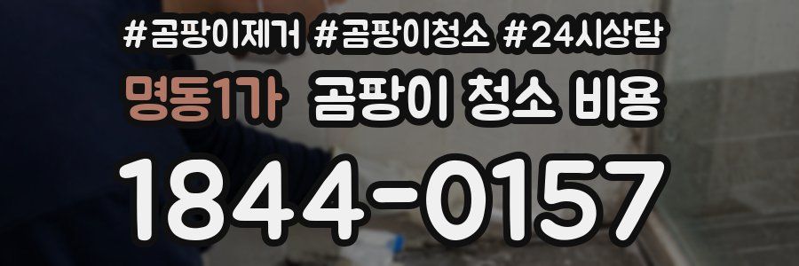명동1가 곰팡이 청소 비용