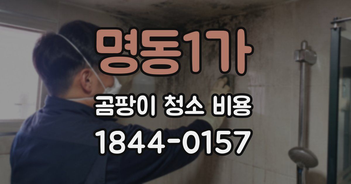 명동1가 곰팡이 청소 비용