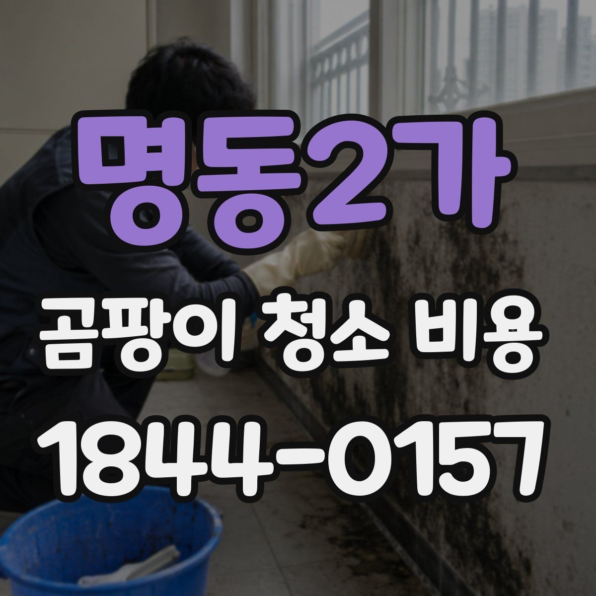 명동2가 곰팡이 청소 비용 원인 해결이 함께 필요한 이유