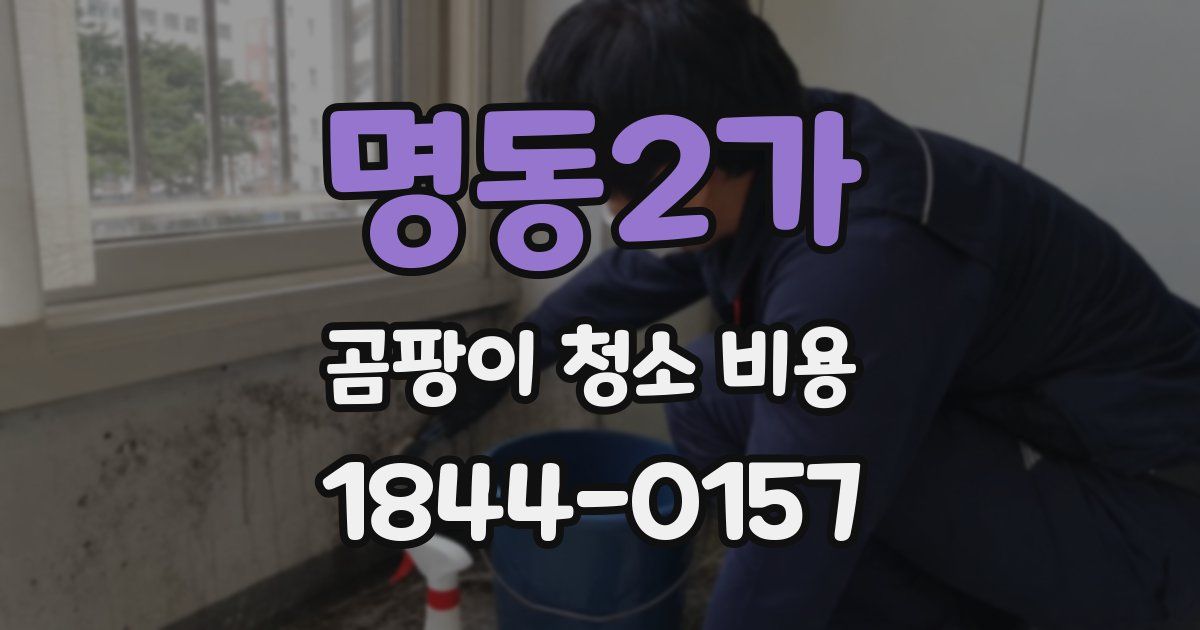 명동2가 곰팡이 청소 비용