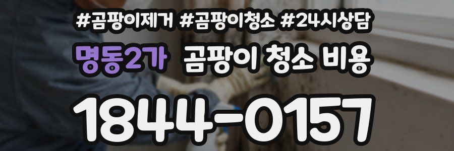 명동2가 곰팡이 청소 비용