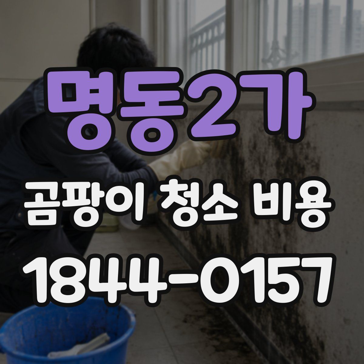 명동2가 곰팡이 청소 비용