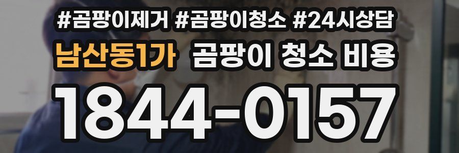 남산동1가 곰팡이 청소 비용