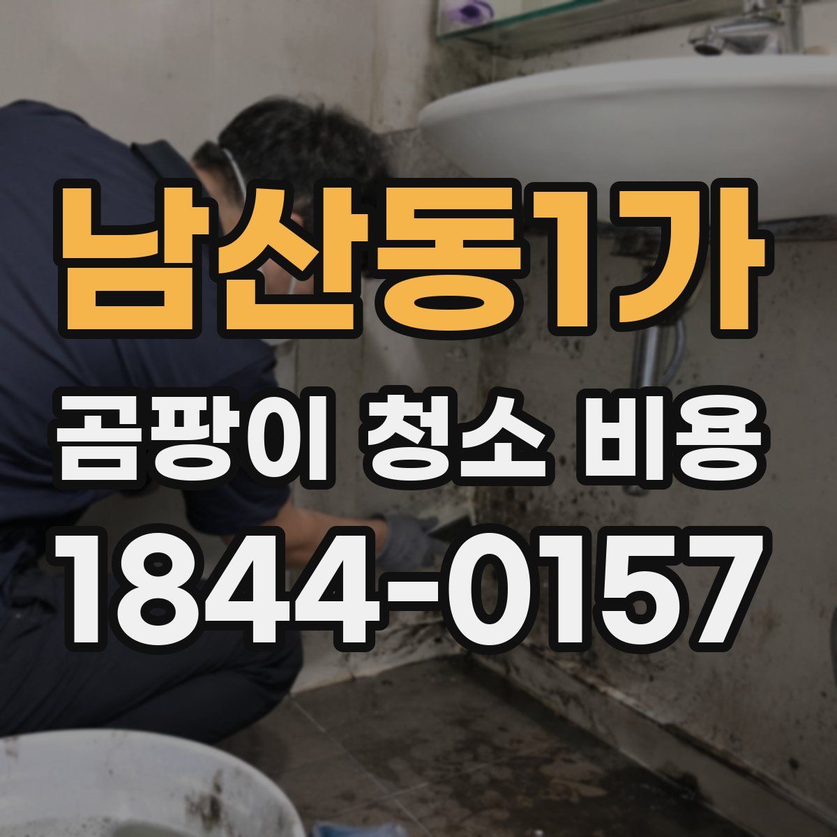 남산동1가 곰팡이 청소 비용