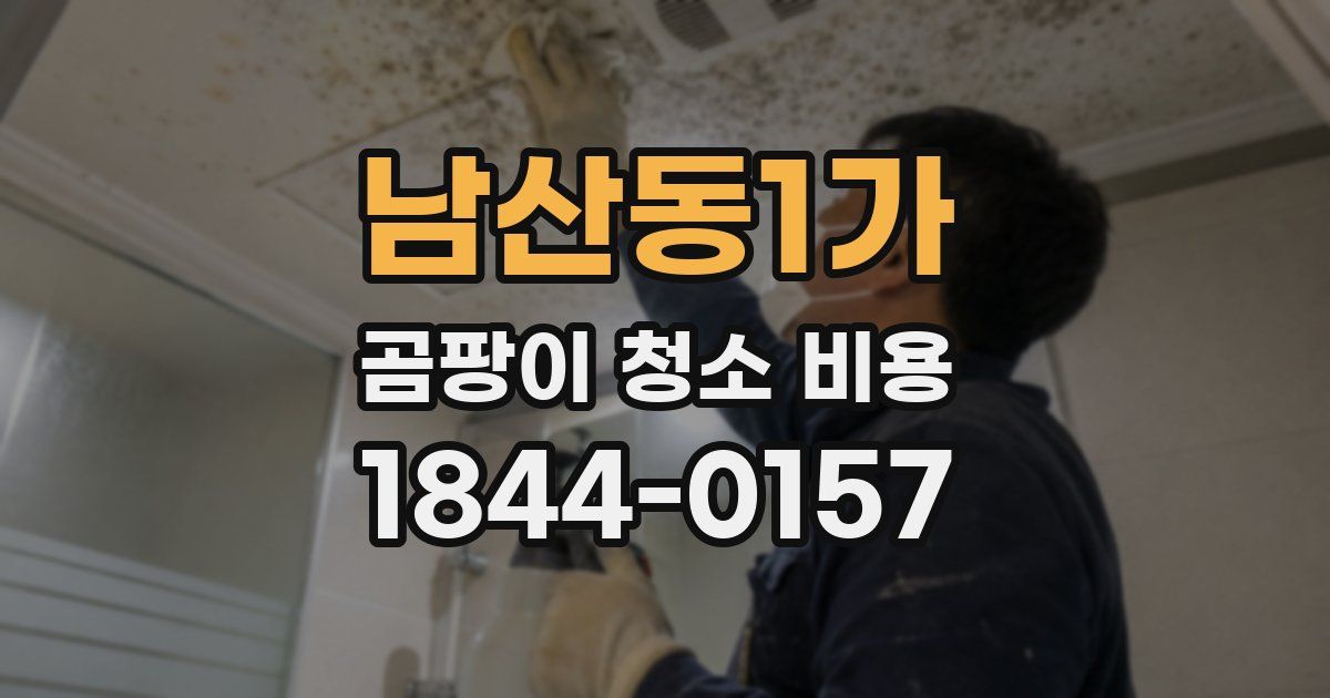 남산동1가 곰팡이 청소 비용