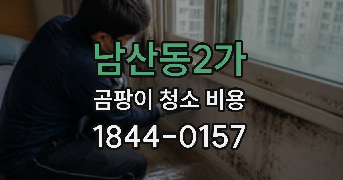 남산동2가 곰팡이 청소 비용