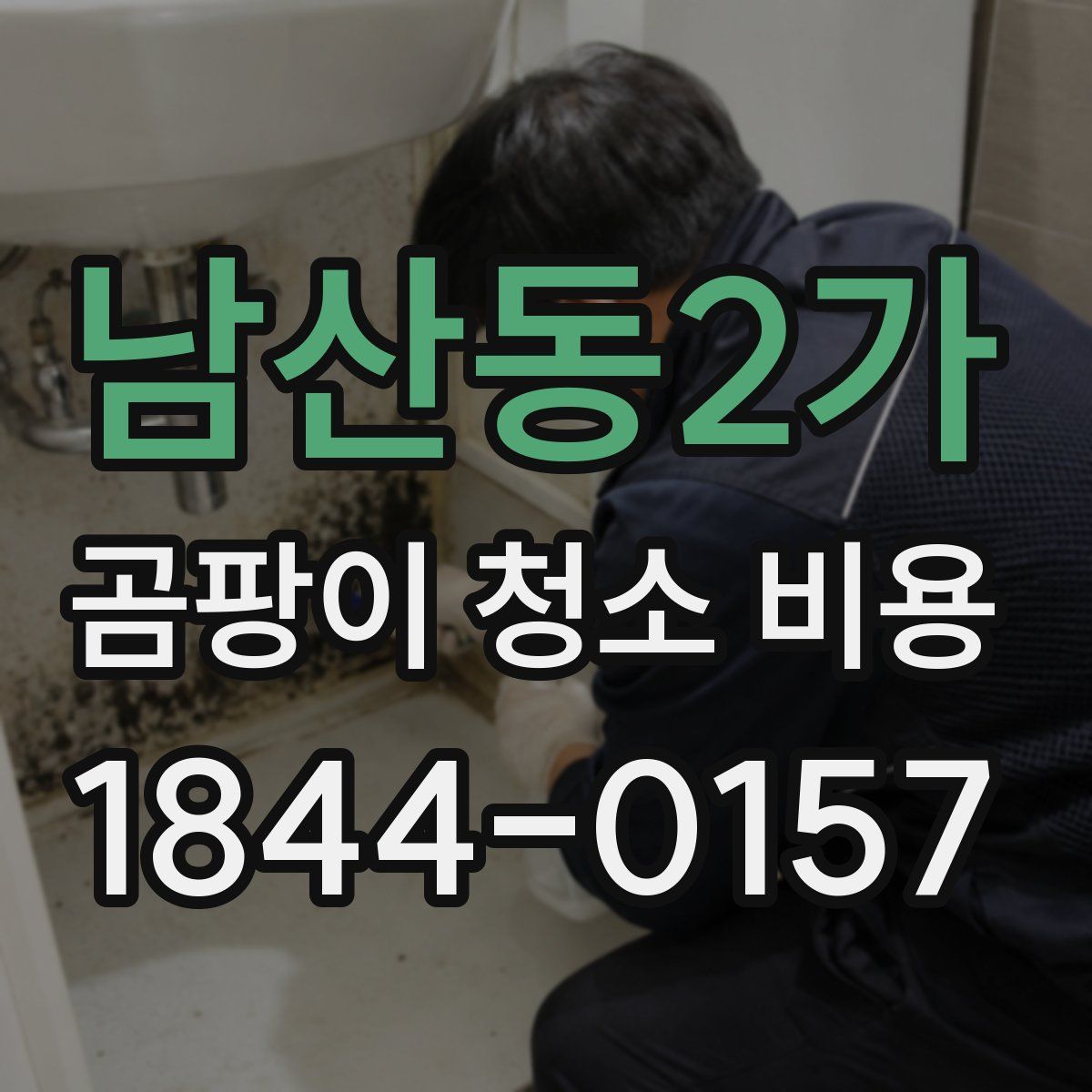 남산동2가 곰팡이 청소 비용
