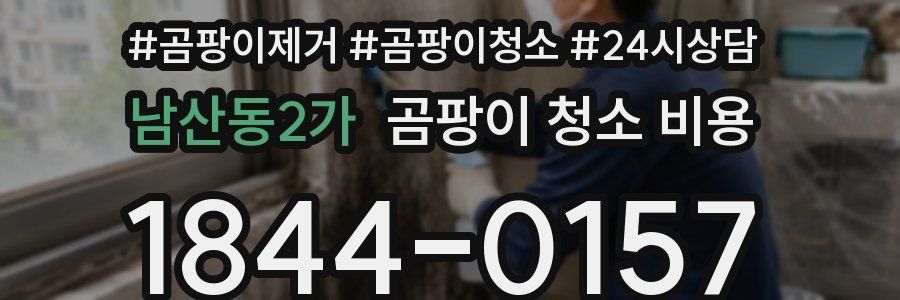 남산동2가 곰팡이 청소 비용