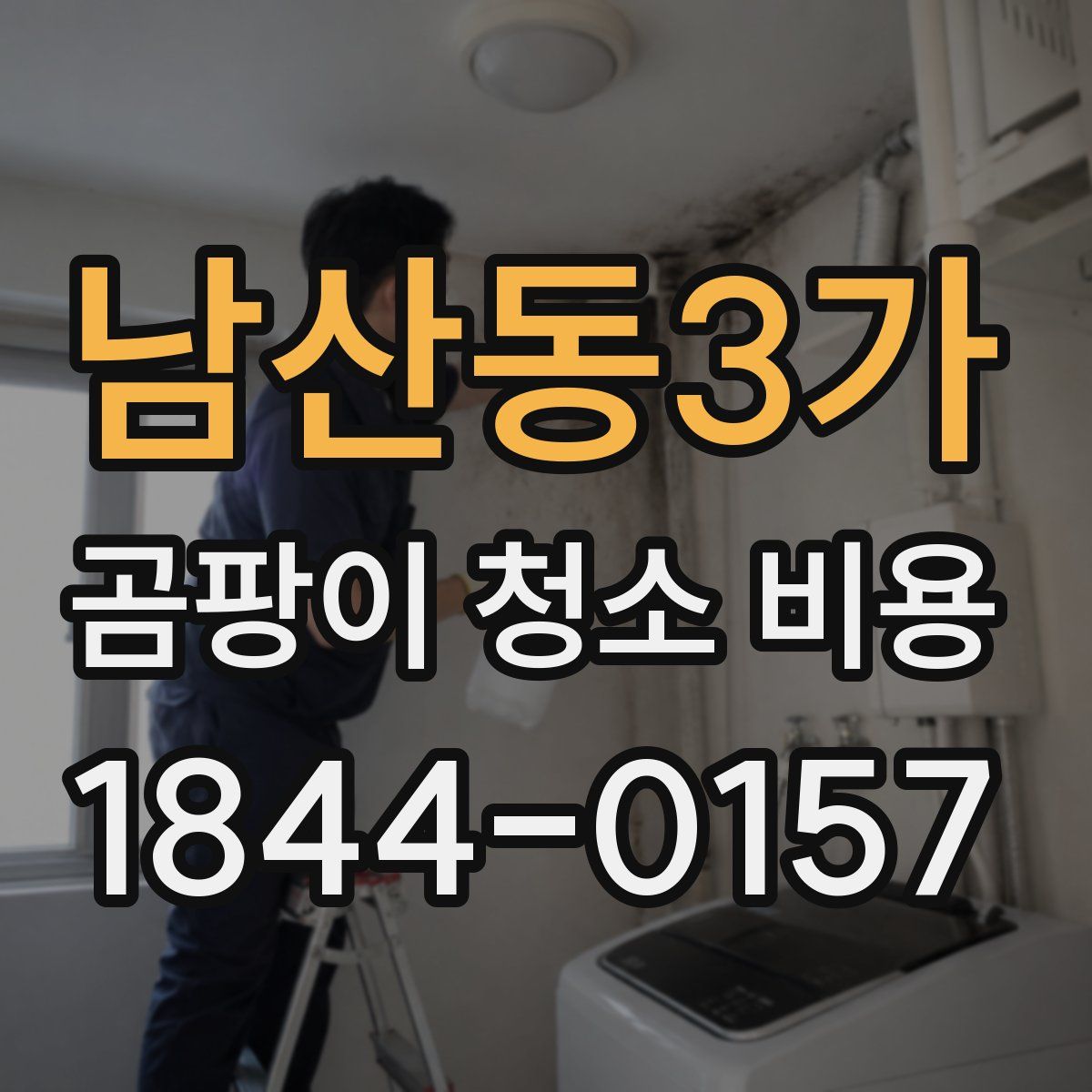 남산동3가 곰팡이 청소 비용