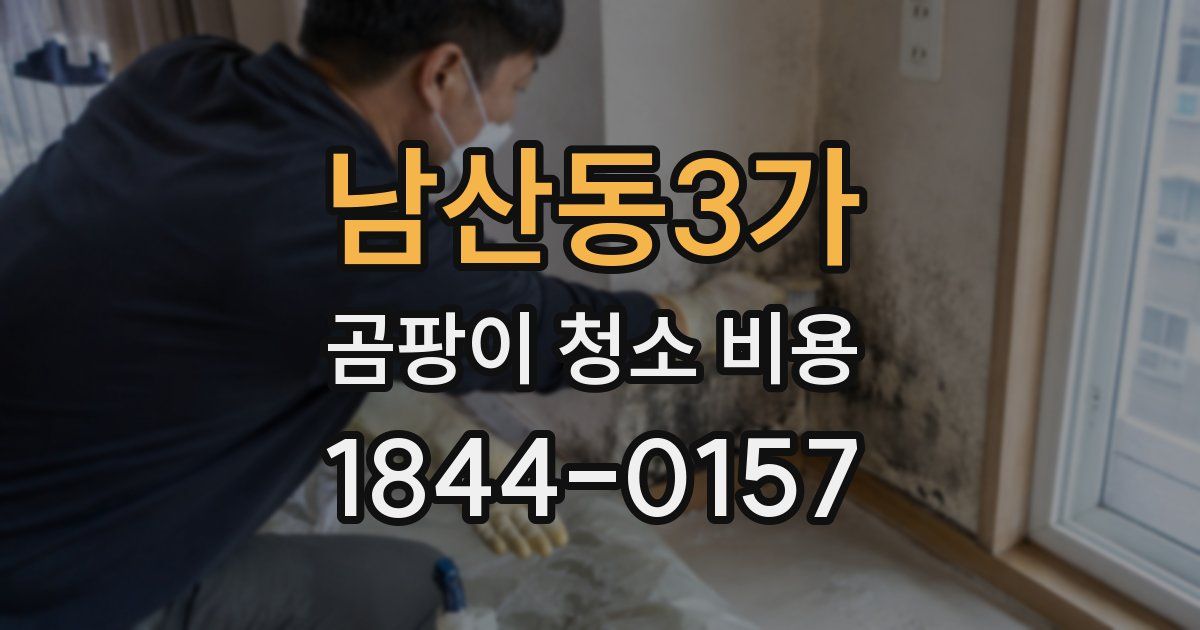 남산동3가 곰팡이 청소 비용