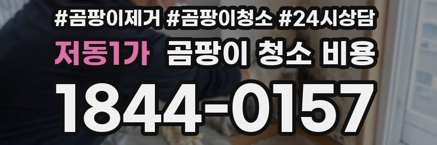 저동1가 곰팡이 청소 비용