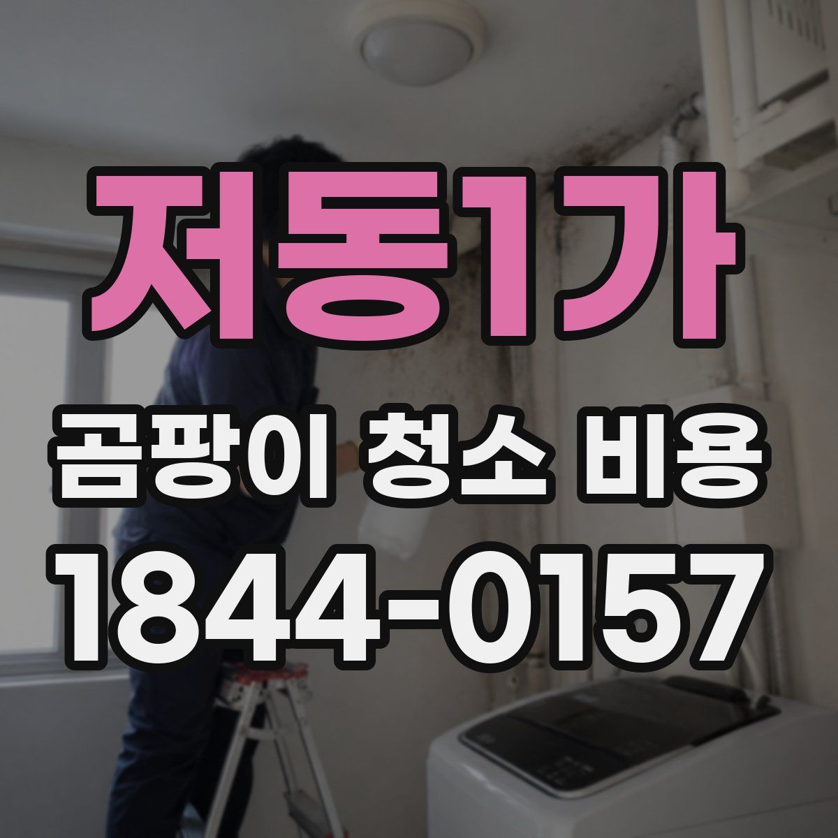 저동1가 곰팡이 청소 비용