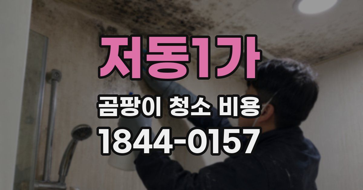 저동1가 곰팡이 청소 비용