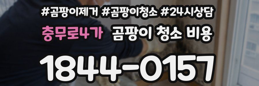 충무로4가 곰팡이 청소 비용