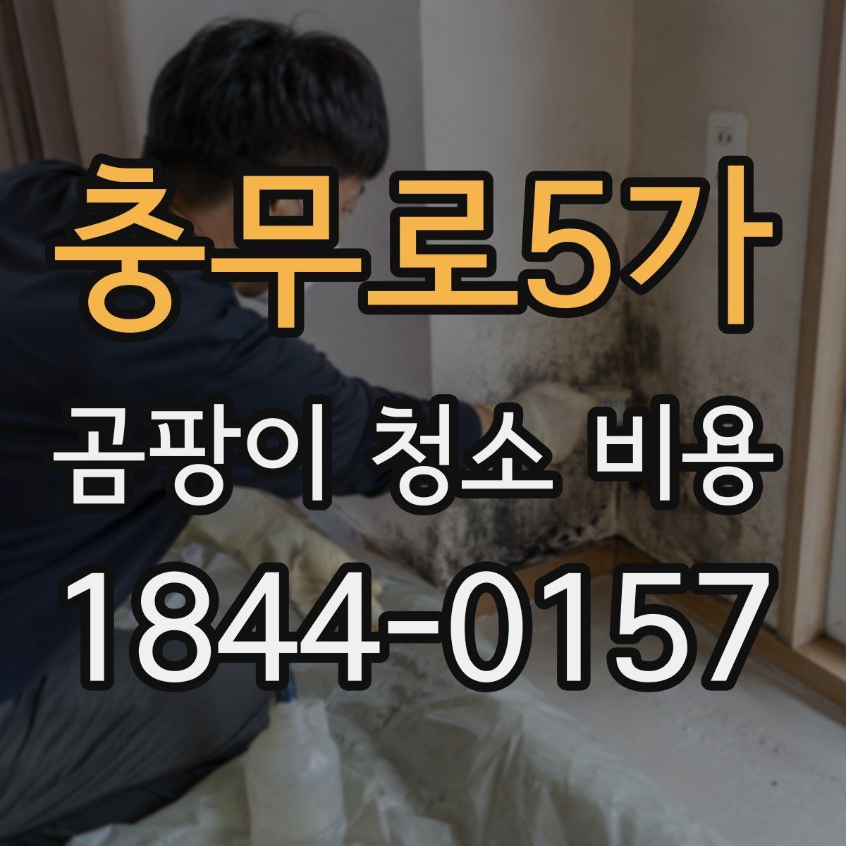 충무로5가 곰팡이 청소 비용 방 한 칸 기준으로 달라지는 요소