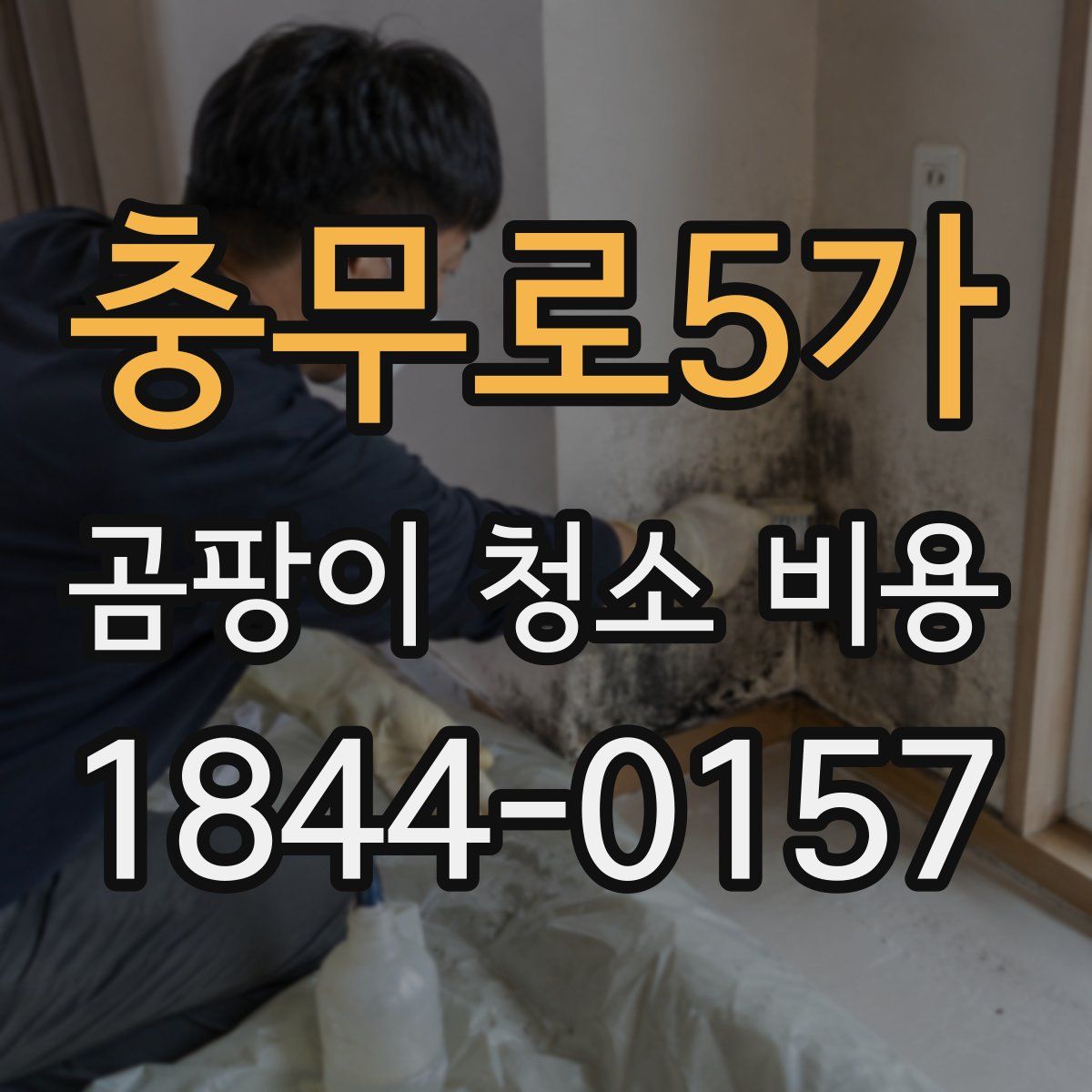 충무로5가 곰팡이 청소 비용