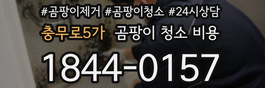 충무로5가 곰팡이 청소 비용