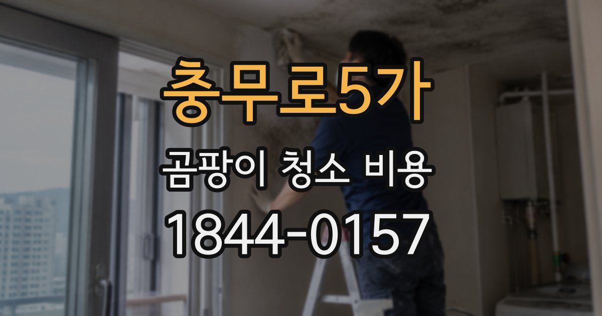 충무로5가 곰팡이 청소 비용