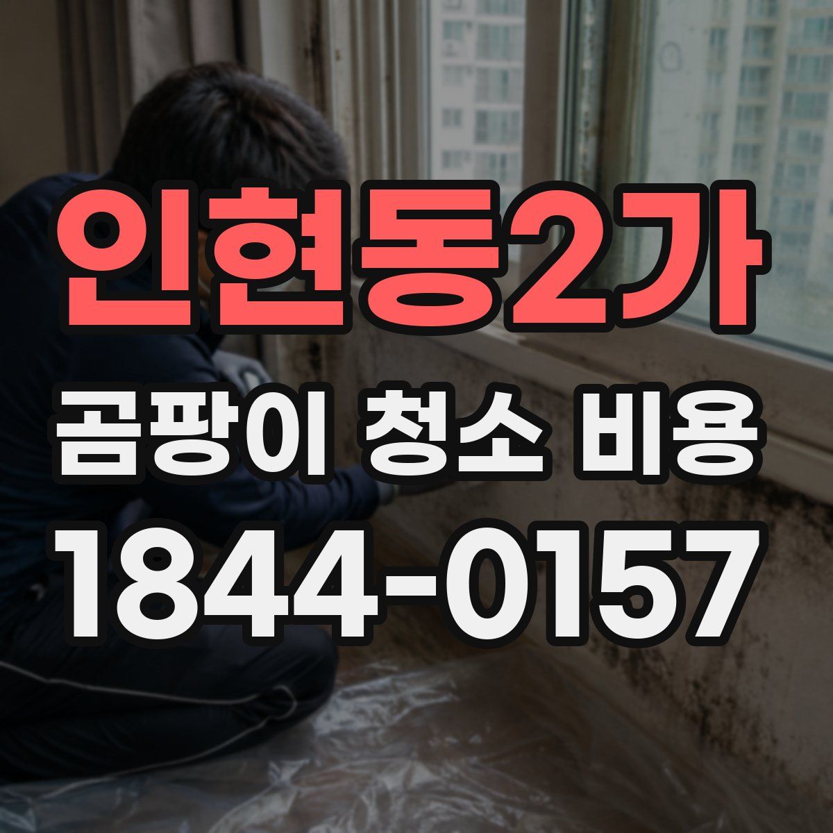 인현동2가 곰팡이 청소 비용