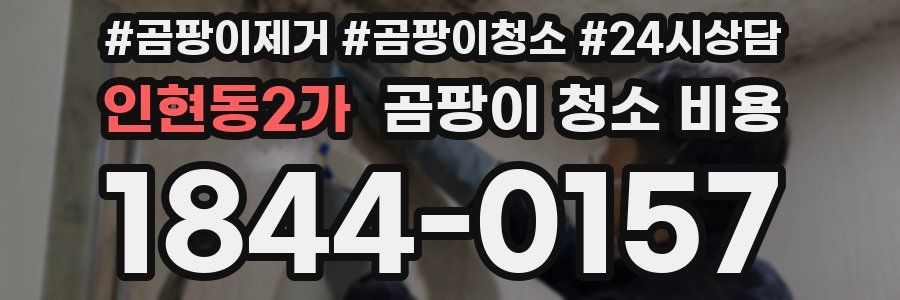 인현동2가 곰팡이 청소 비용
