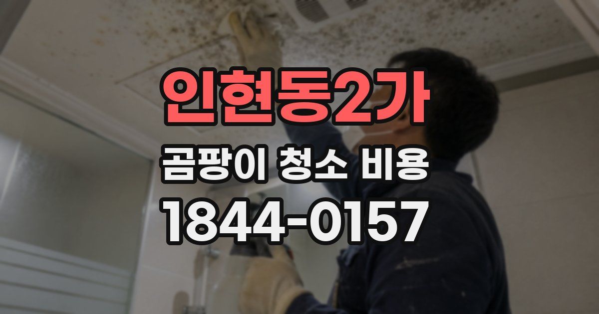 인현동2가 곰팡이 청소 비용