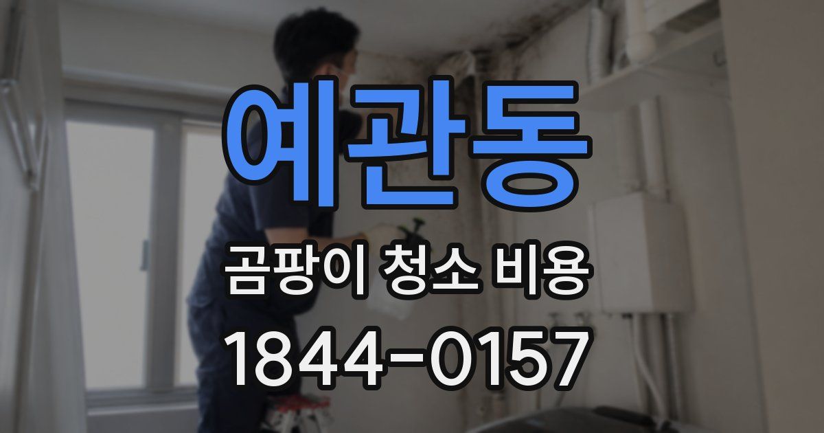 예관동 곰팡이 청소 비용