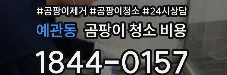 예관동 곰팡이 청소 비용